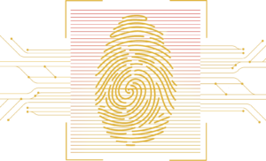 Seguridad de la información